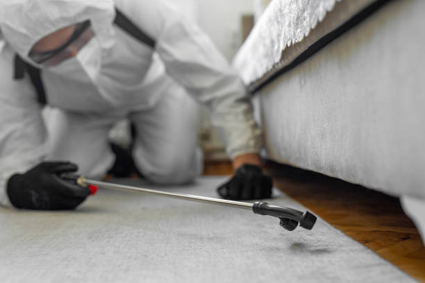 Professional Bed Bug Control technician working in Belfair, WA