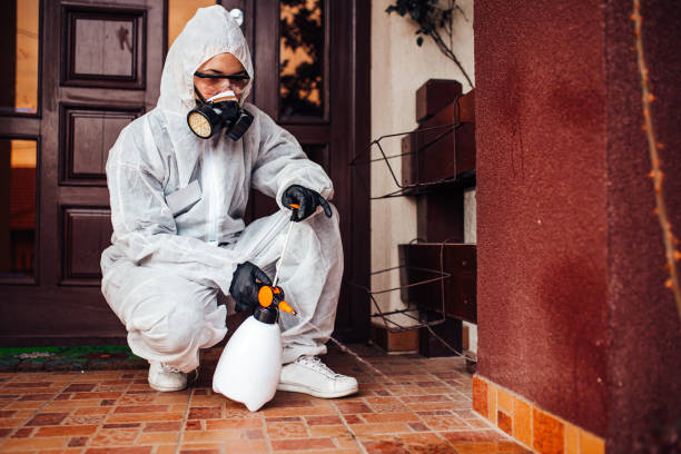 Reliable Bed Bug Control contractor in Belfair, WA by Nex Pest Control